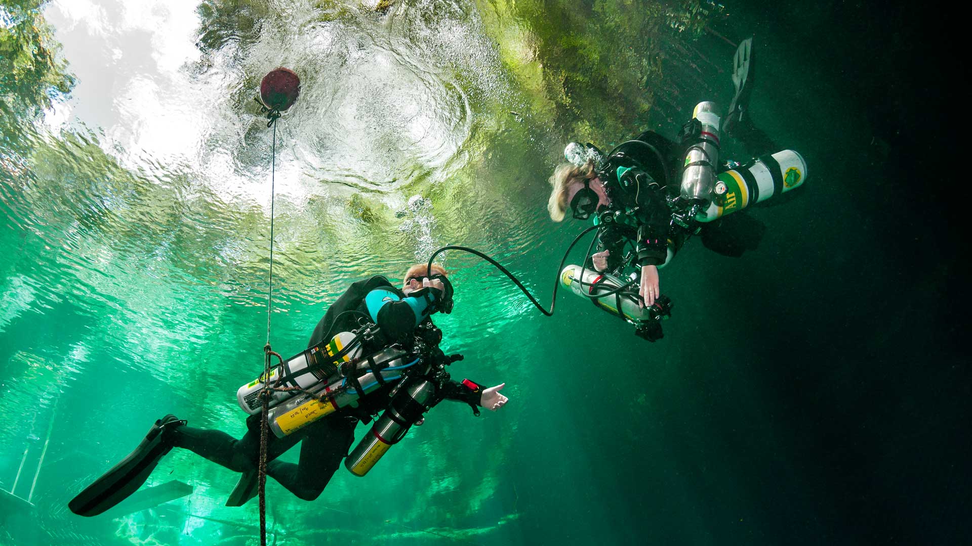 Diver's Paradise Professional Institute — Key Biscayne, Florida