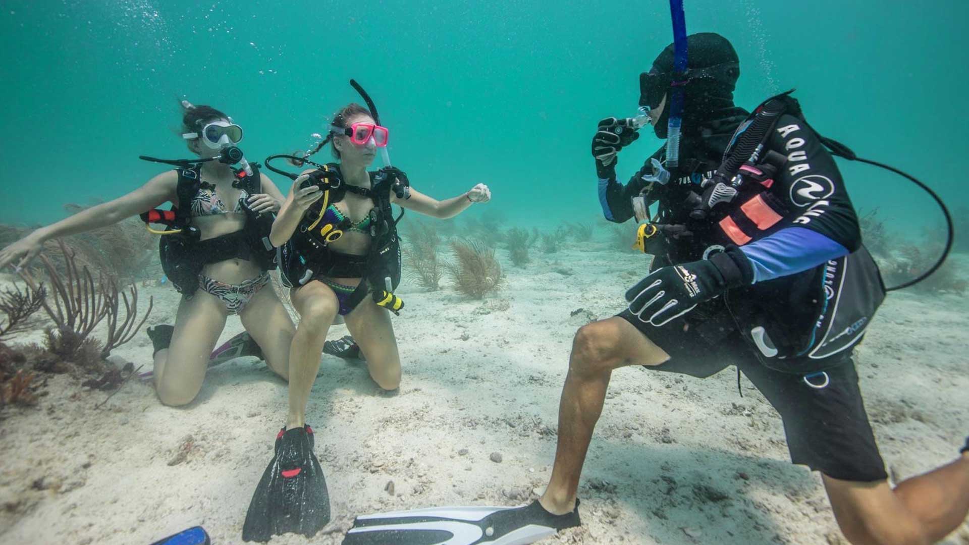 Diver's Paradise Professional Institute — Key Biscayne, Florida